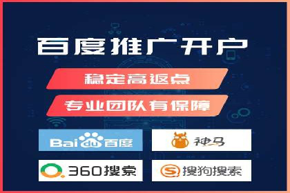 百度竞价与搜索引擎优化（SEO）结合的经典案例